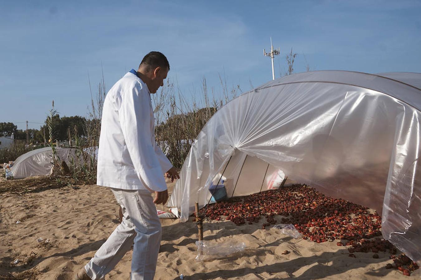 Cocineros de la provincia impulsan la denominación de origen de la ñora