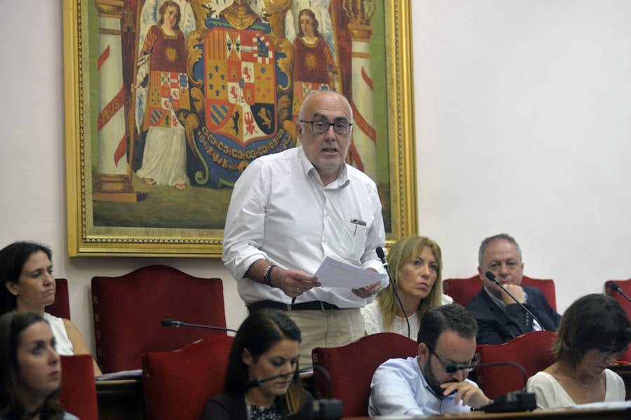 Sesión plenaria en Elche