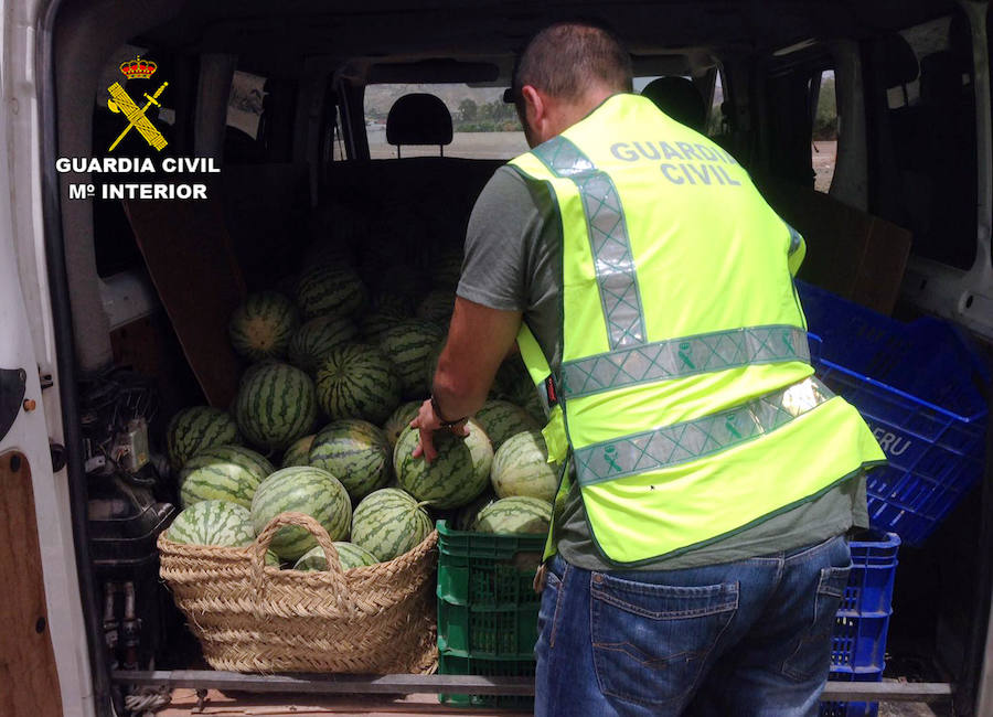 Ocho detenidos por robar 4000 kilos de sandía