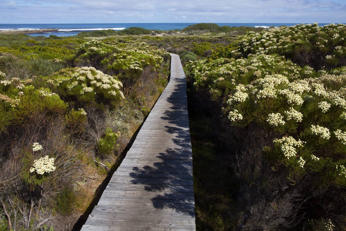 Vida tras el incendio