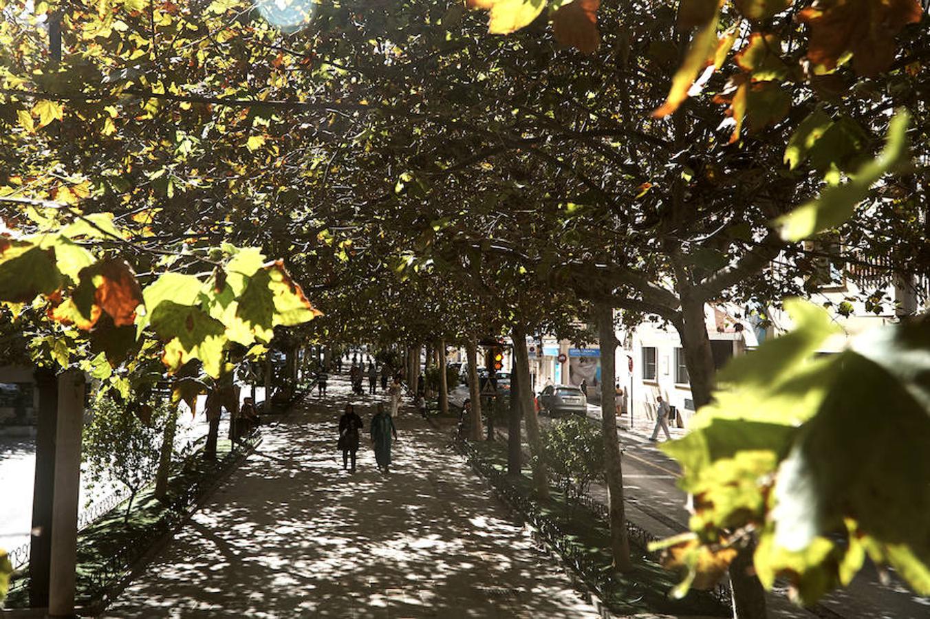 La Diputación costeará con 800.000 euros las obras de remodelación de Los Andenes