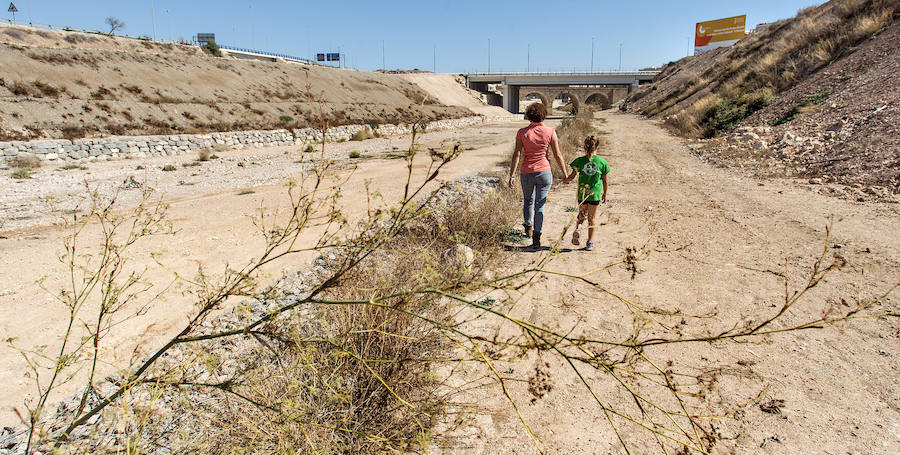 Sendero ecológico en el entorno del Barranco de las Ovejas