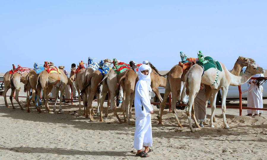 Carreras de camellos sin jinetes menores