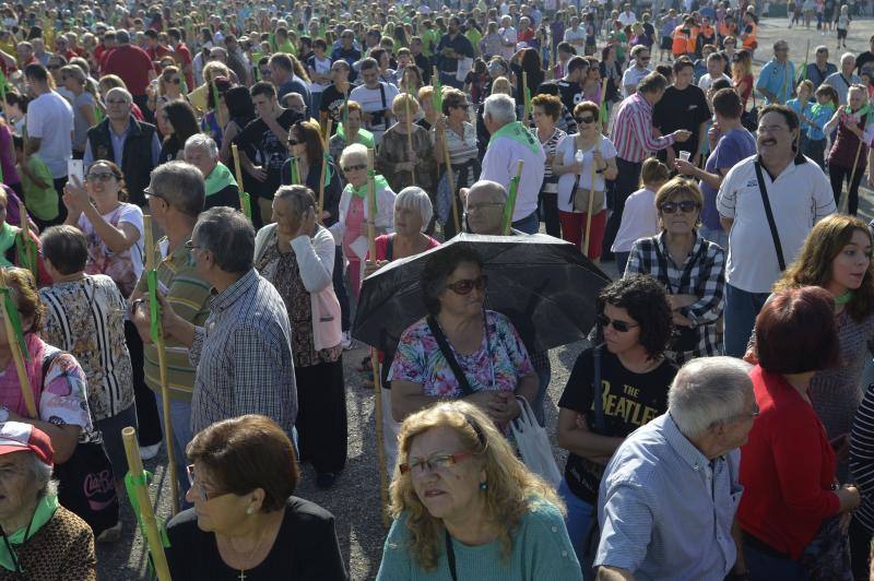 La romería de San Crispín emociona a los ilicitanos