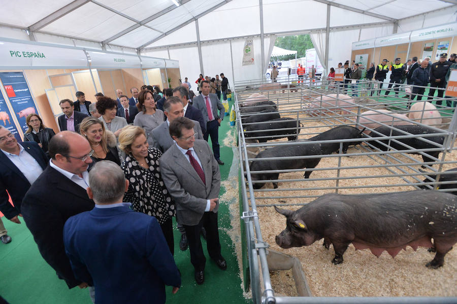 Arte de pata negra en &#039;Iberian Pork Parade&#039;