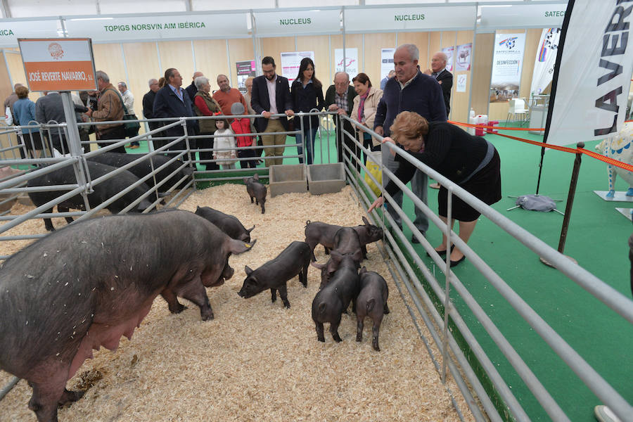 Arte de pata negra en &#039;Iberian Pork Parade&#039;