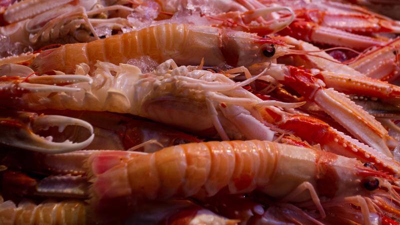 Arrancan las compras de marisco para las fiestas de Navidad