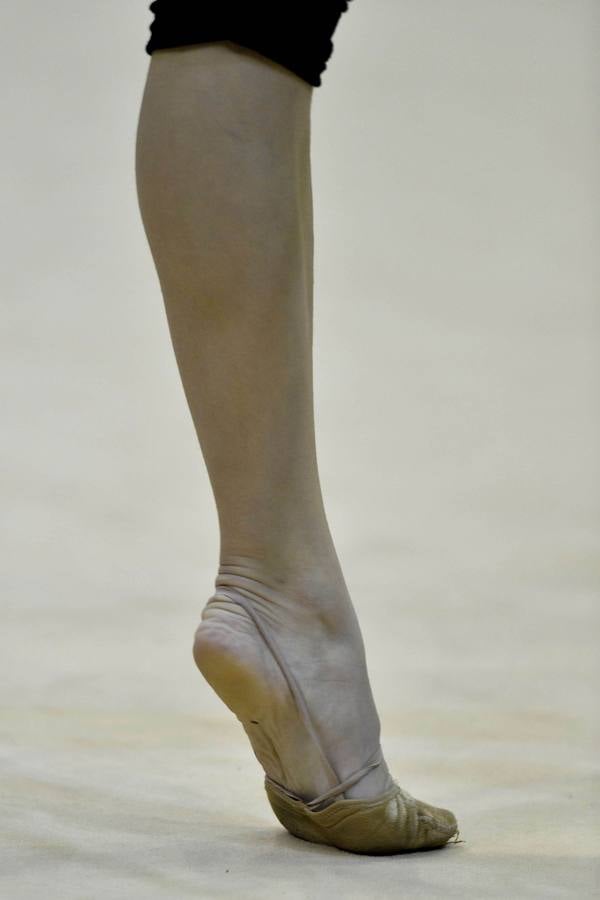 El espectáculo de la rítmica llega al Palacio