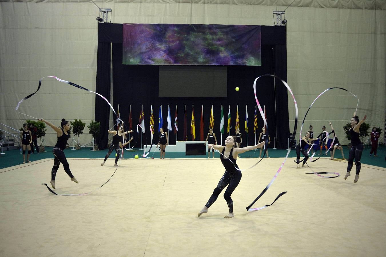 El espectáculo de la rítmica llega al Palacio