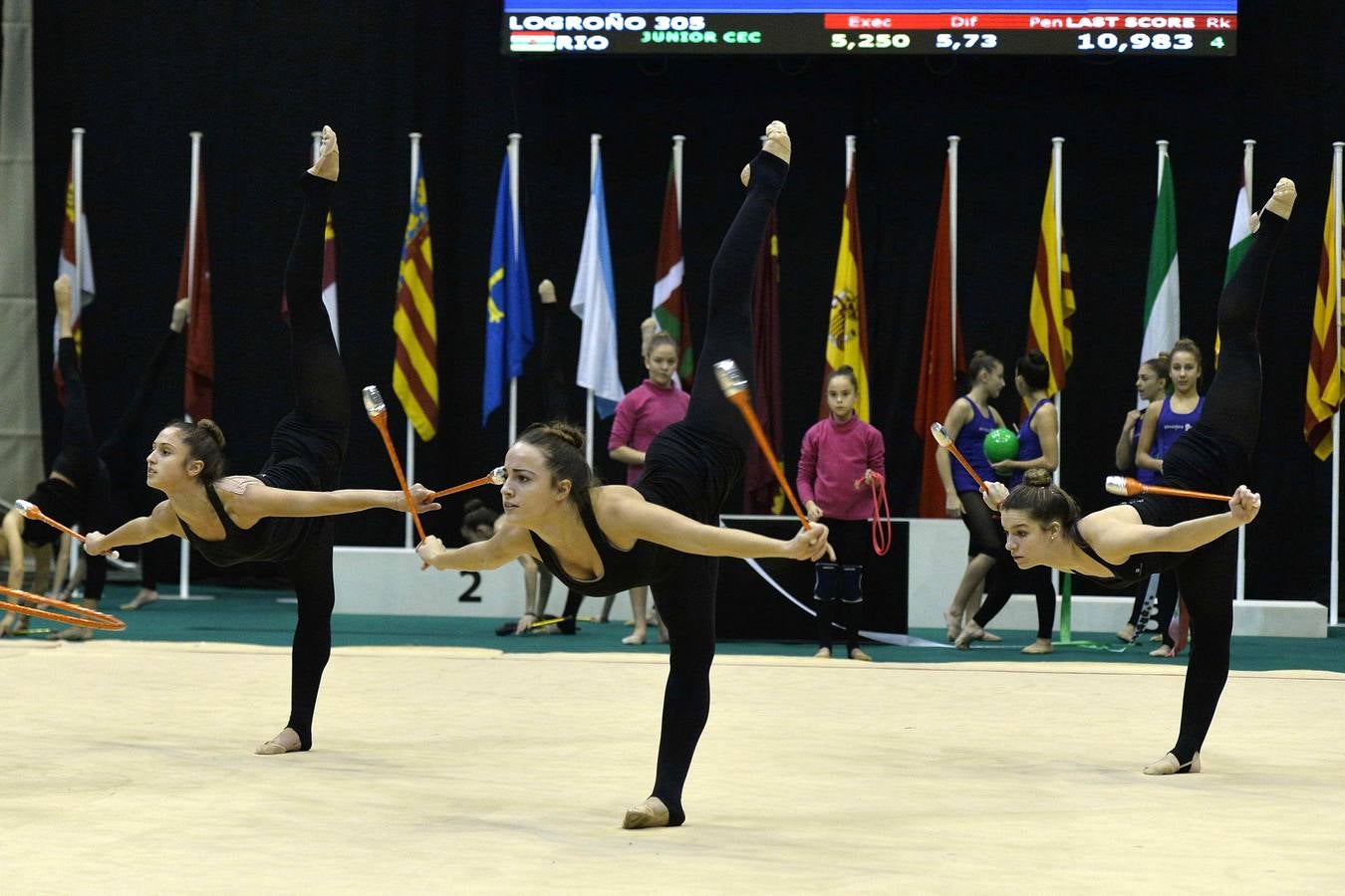 El espectáculo de la rítmica llega al Palacio