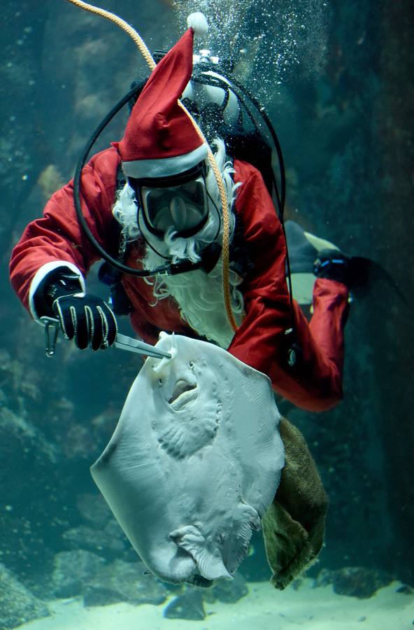 Un Papá Noel que da de comer a los peces