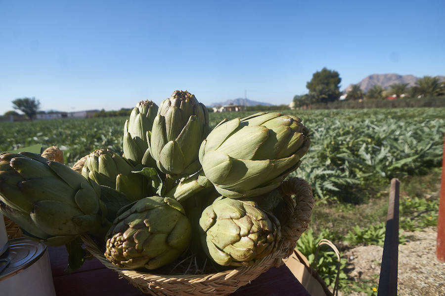 La estabilidad del precio de la alcachofa favorece su cultivo