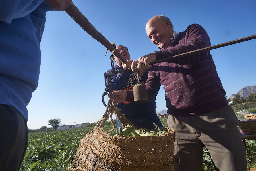 La estabilidad del precio de la alcachofa favorece su cultivo