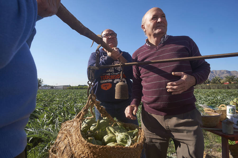 La estabilidad del precio de la alcachofa favorece su cultivo