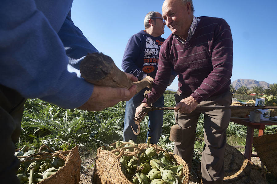 La estabilidad del precio de la alcachofa favorece su cultivo