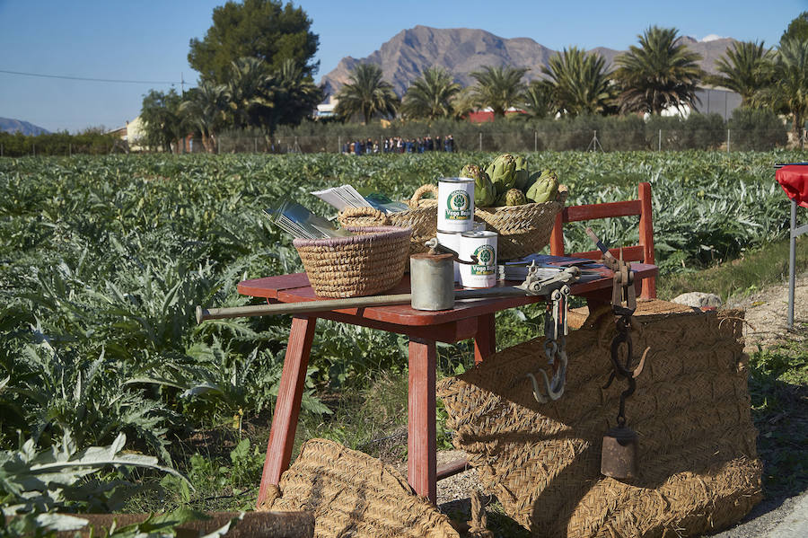 La estabilidad del precio de la alcachofa favorece su cultivo