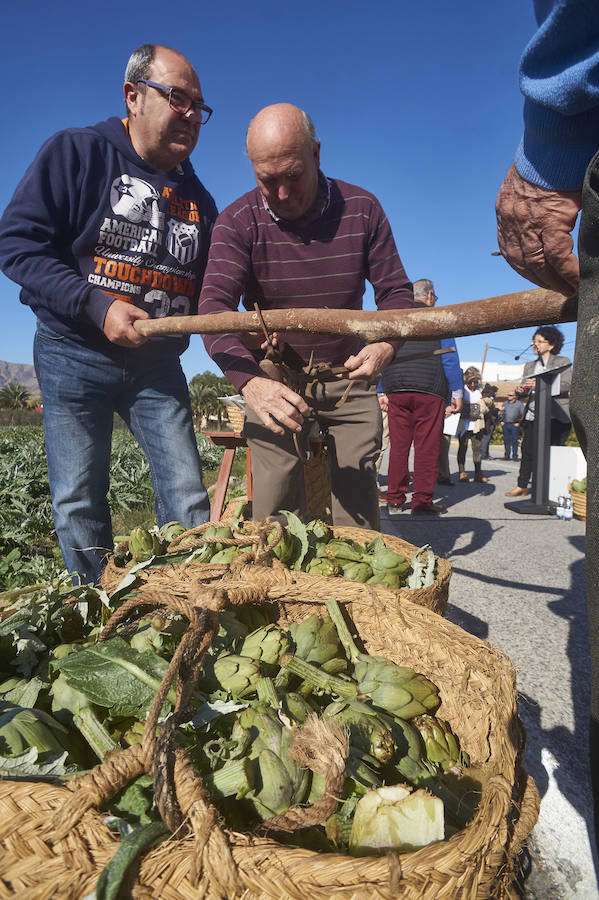 La estabilidad del precio de la alcachofa favorece su cultivo