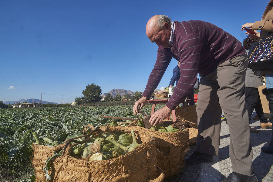 La estabilidad del precio de la alcachofa favorece su cultivo