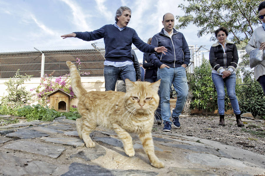 Protesta animalista en la Protectora de Bacarot