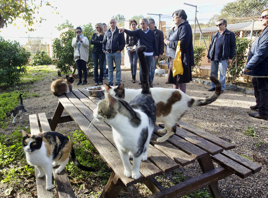 Protesta animalista en la Protectora de Bacarot