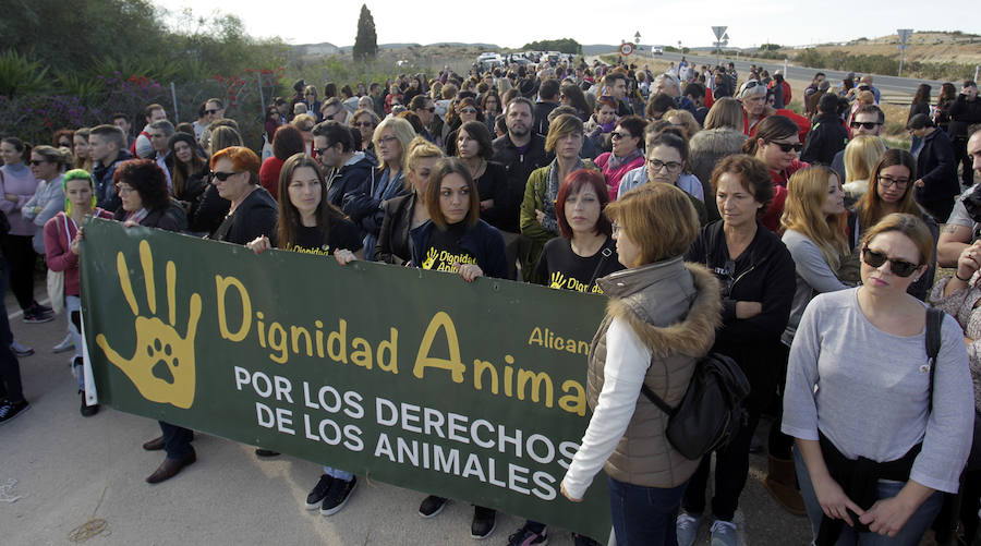Protesta animalista en la Protectora de Bacarot