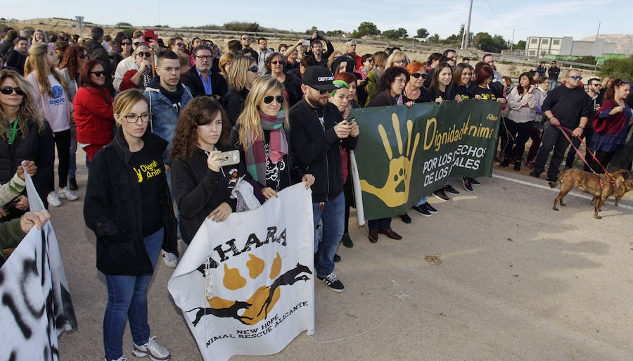 Protesta animalista en la Protectora de Bacarot