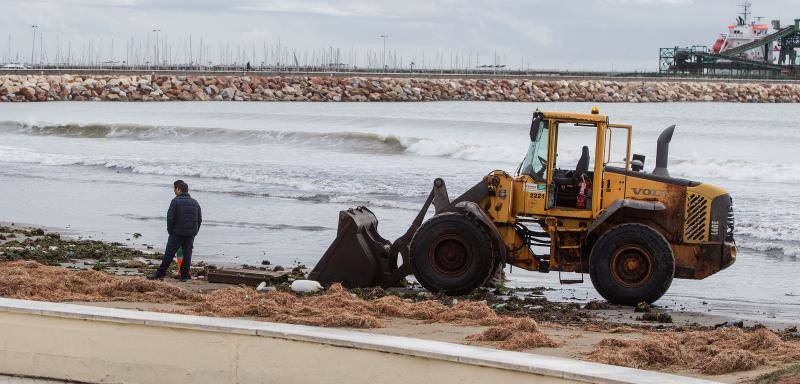 El temporal obliga a desalojar a varios vecinos en Torrevieja