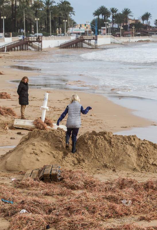 El temporal obliga a desalojar a varios vecinos en Torrevieja