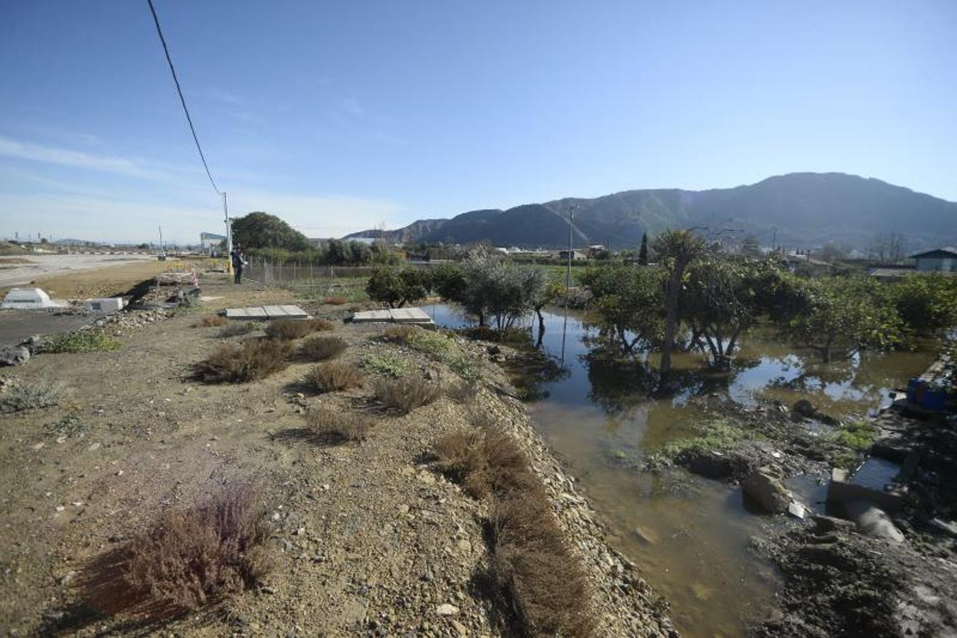 El rastro del temporal en la huerta de Torreagüera