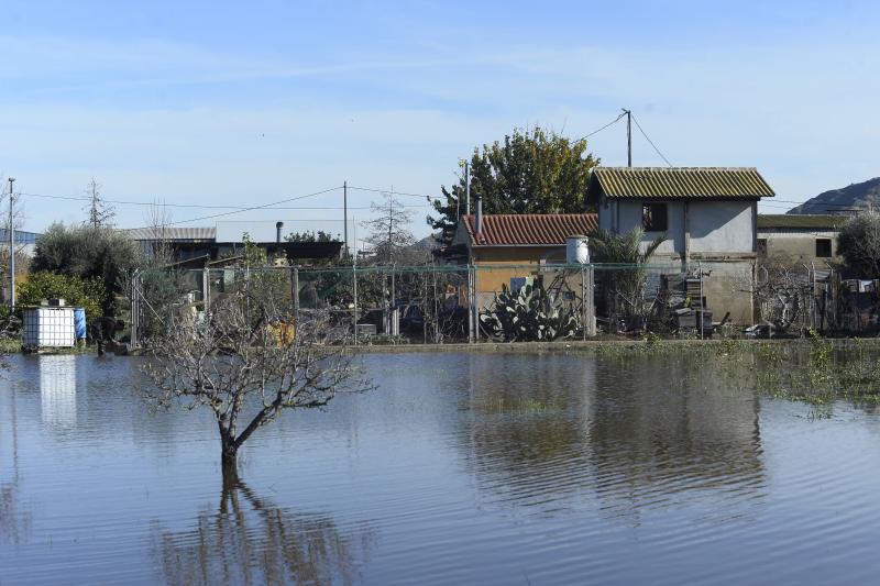 El rastro del temporal en la huerta de Torreagüera