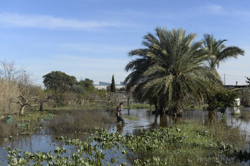 El rastro del temporal en la huerta de Torreagüera