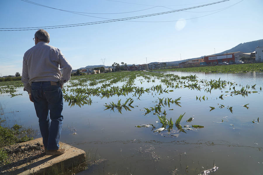 Las causas del temporal en Orihuela y alrededores