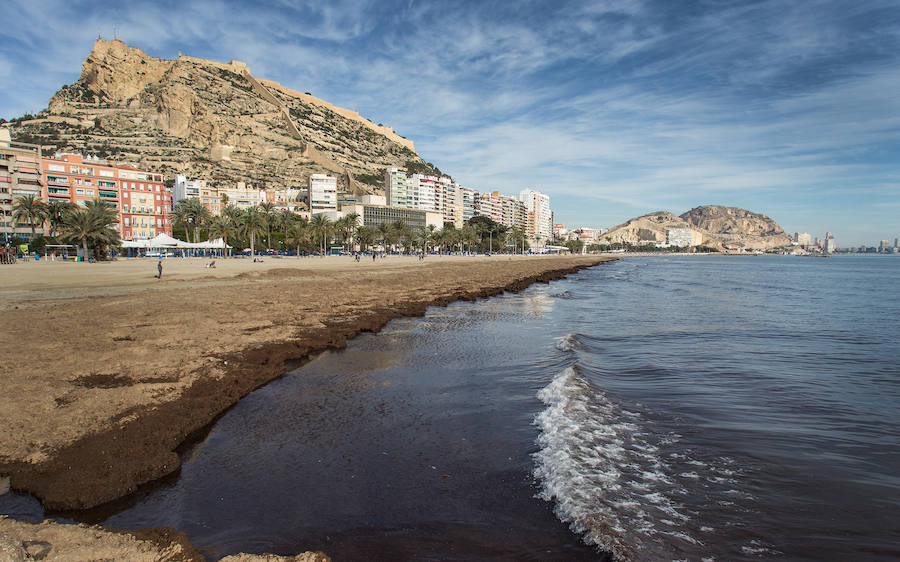 Las playas siguen llenas de algas dos semanas después del temporal