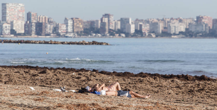 Las playas siguen llenas de algas dos semanas después del temporal