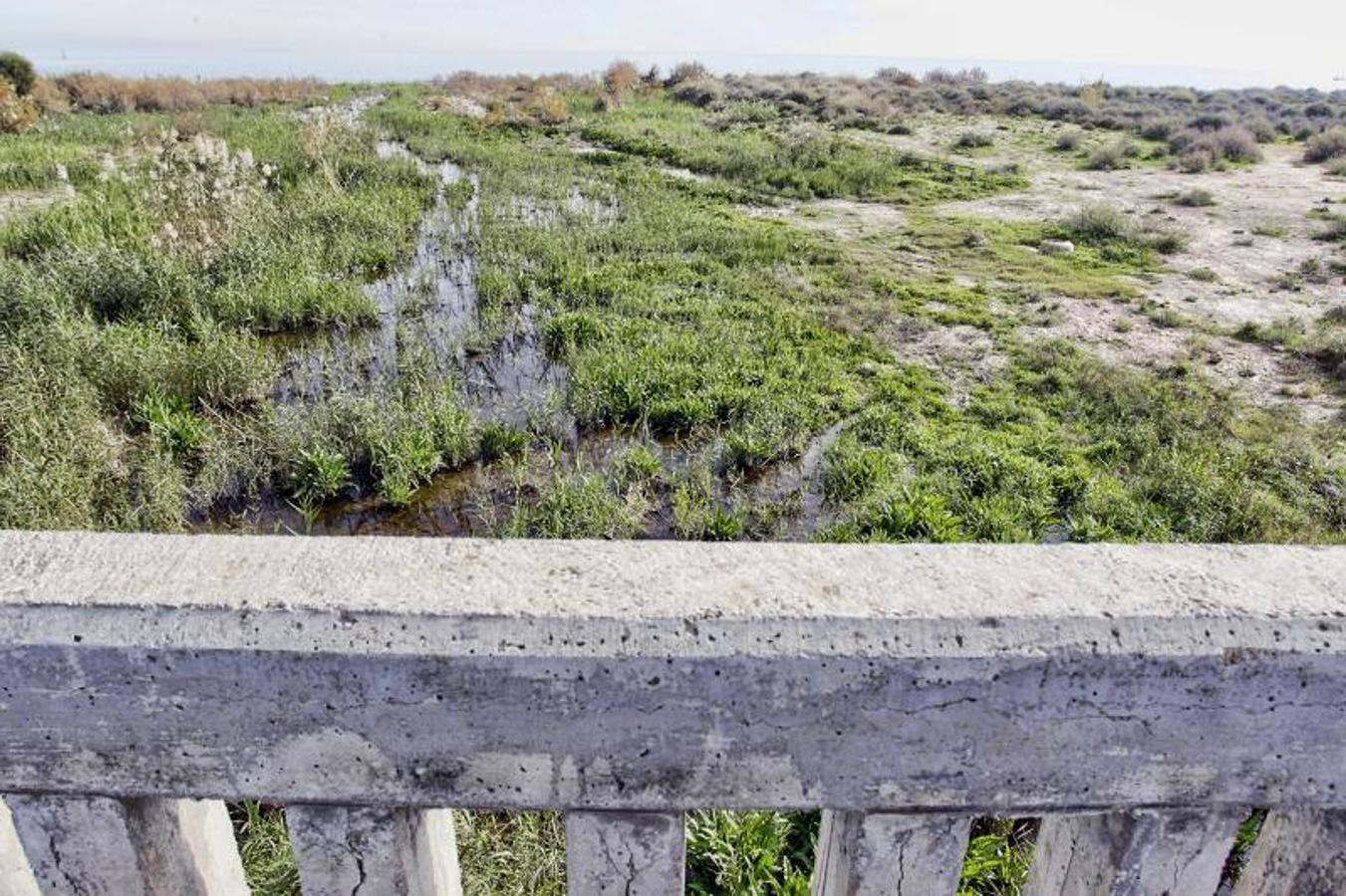 Desembocadura del río Seco en El Campello