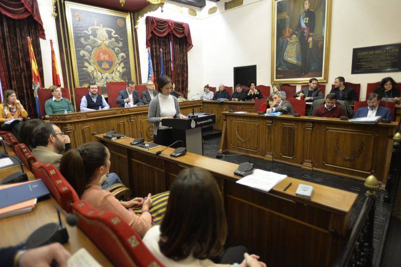 Las imágenes del pleno extraordinario del Ayuntamiento de Elche