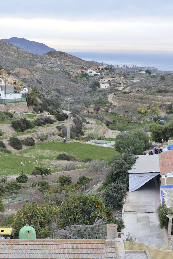 La Fiesta del Rebuzno