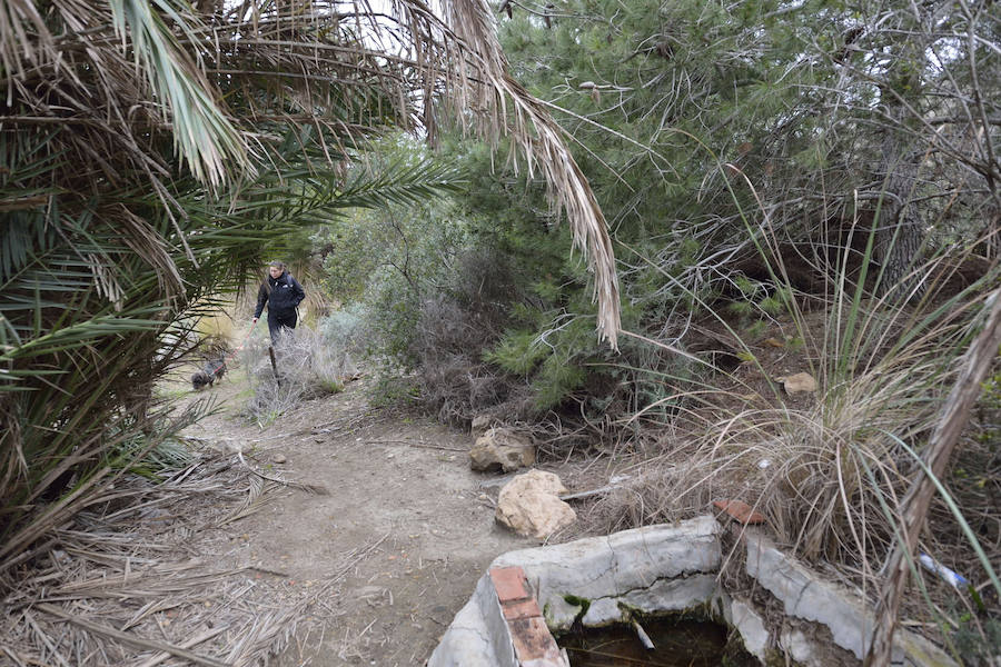 La Fiesta del Rebuzno