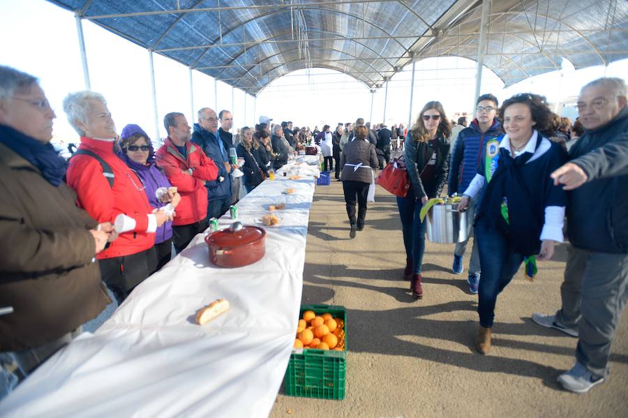 Pelotas galileas para todos