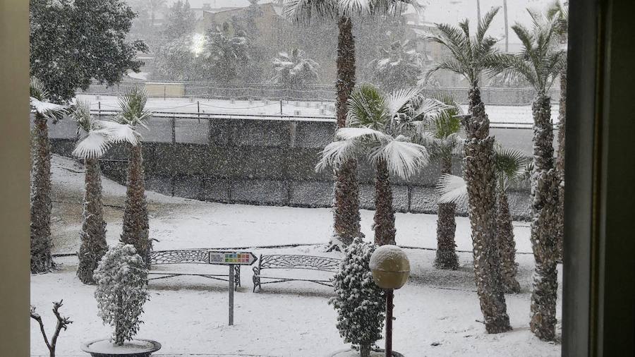 La nieve en La Arrixaca.
