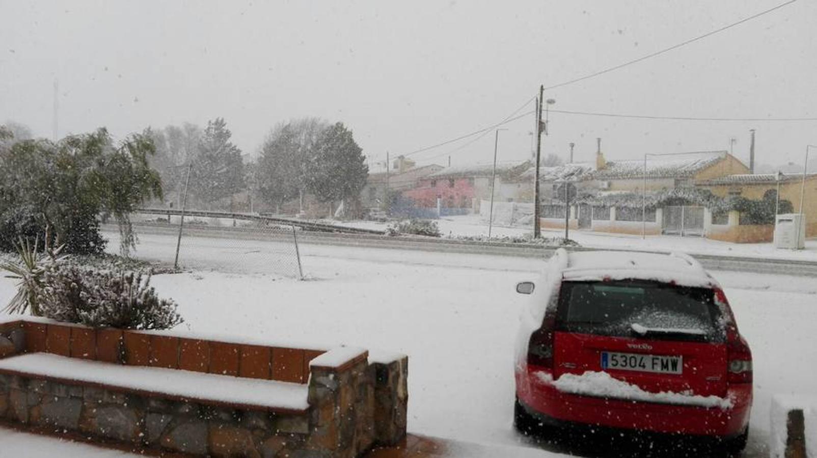 La nieve puebla la pedanía jumillana Fuente del Pino