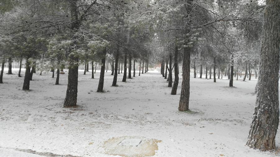 La nieve cubre de blanco Yecla