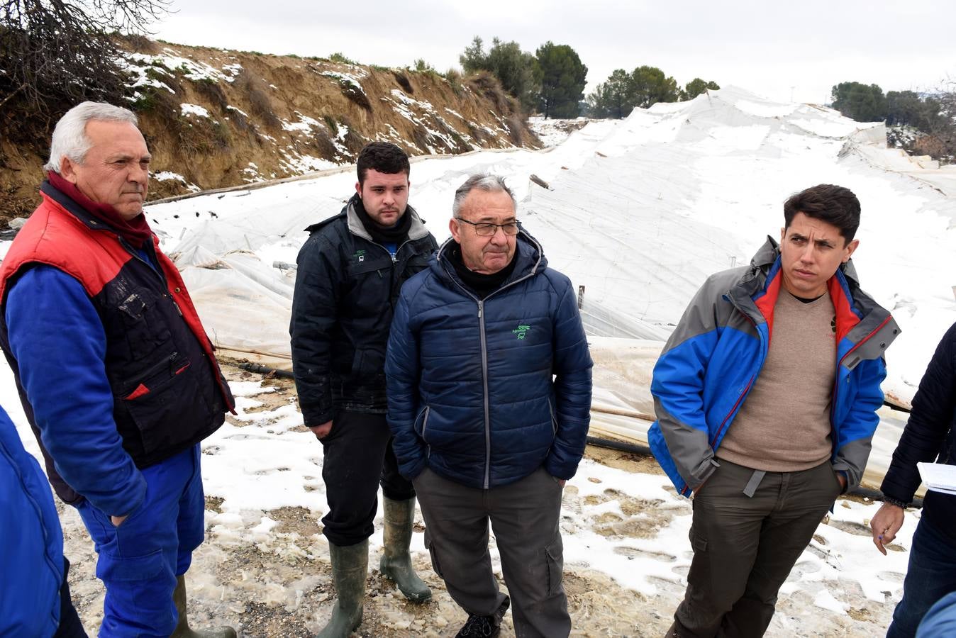 La nieve aplasta 70 invernaderos en Cehegín