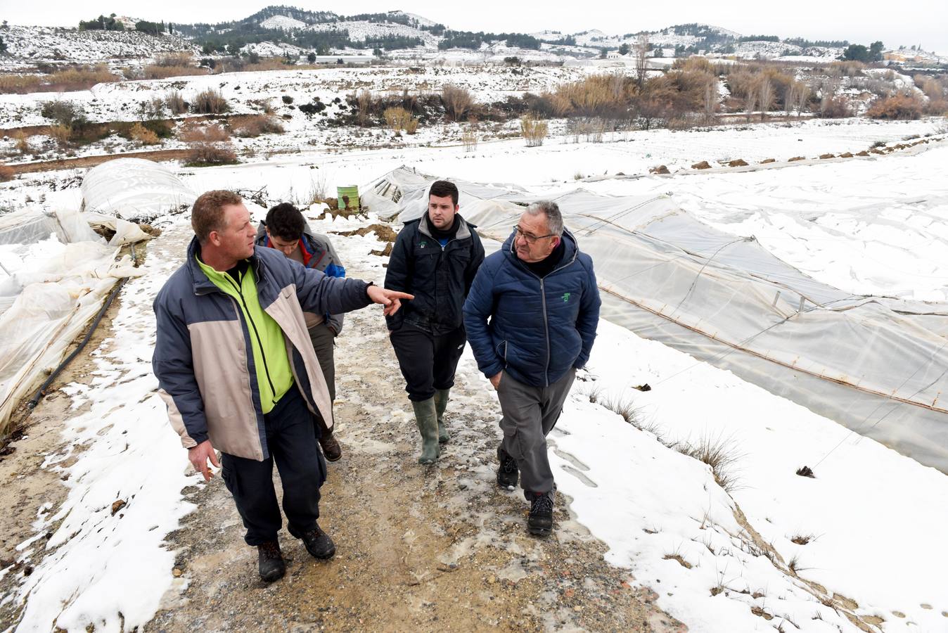 La nieve aplasta 70 invernaderos en Cehegín