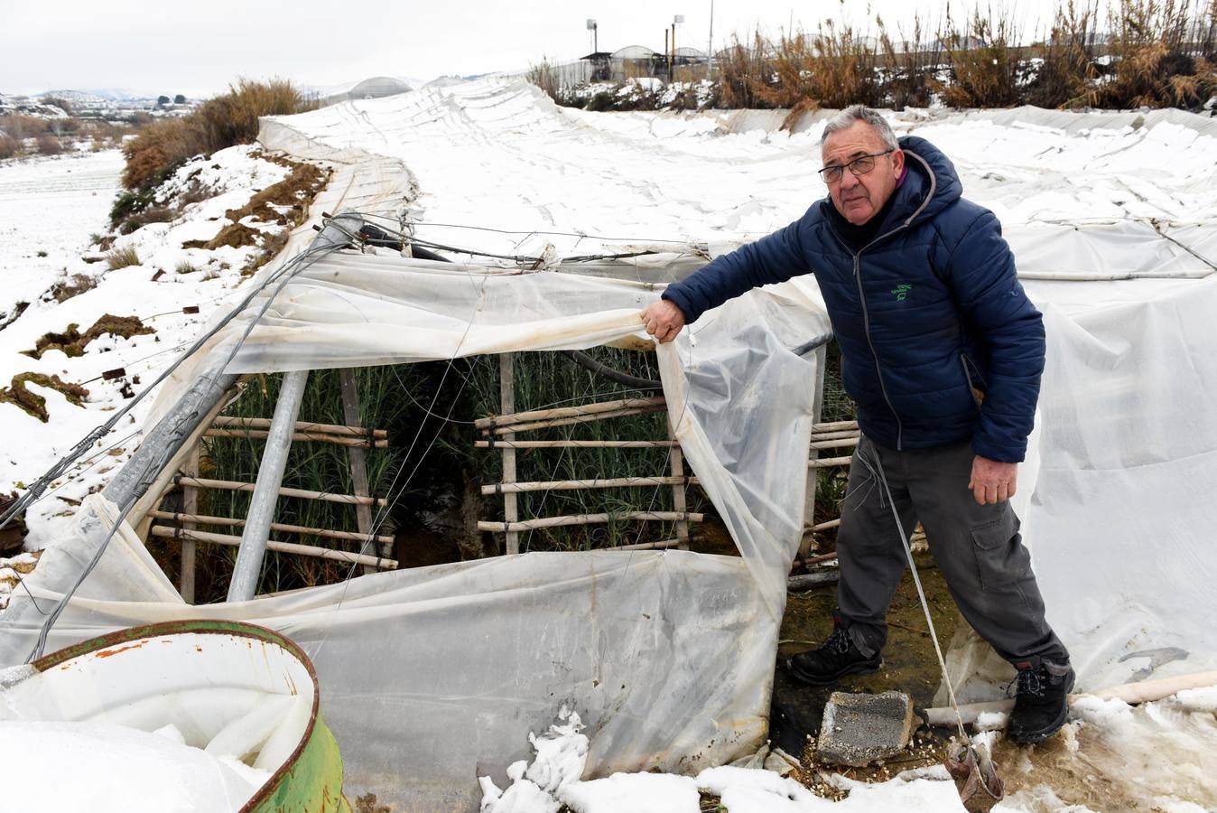 La nieve aplasta 70 invernaderos en Cehegín