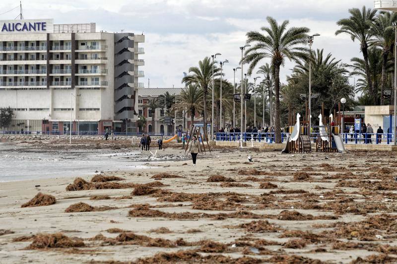 El temporal de viento y lluvia causa destrozos en playas, corta carreteras y desborda cauces