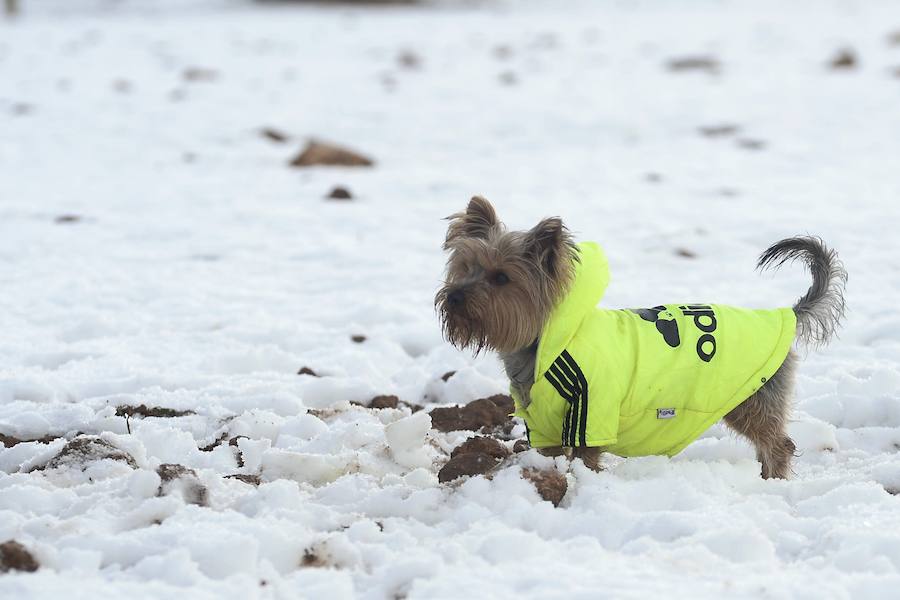 Apurando el fin de semana para disfrutar de la nieve
