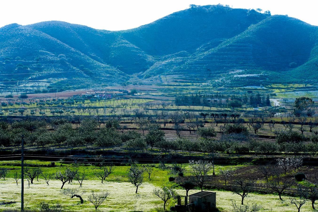 El oeste reverdece con agua y frío