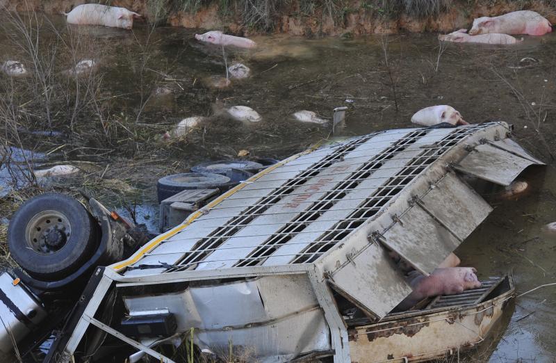 Fallece un camionero al precipitarse por un barranco en Pliego