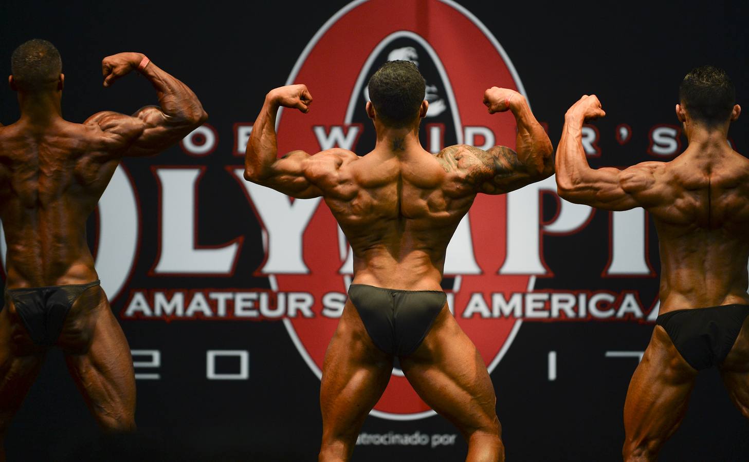 Músculos &#039;amateur&#039;